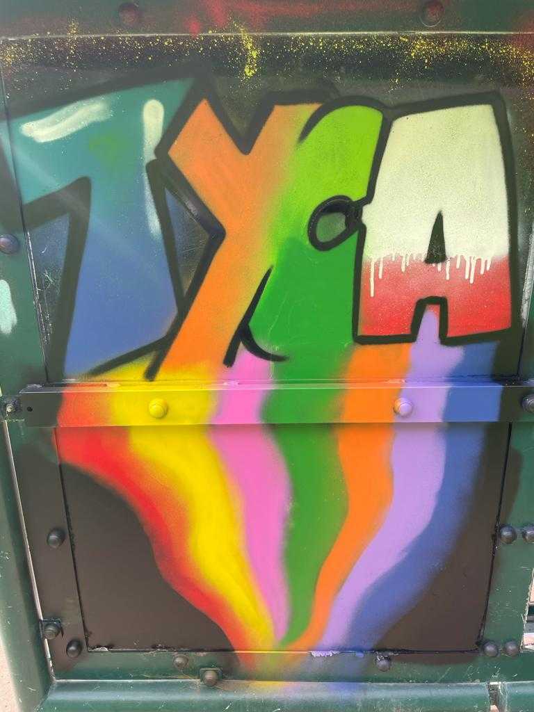 Tyca Graffiti Project lyngford park PHOTO 2021 07 30 18 29 37 6